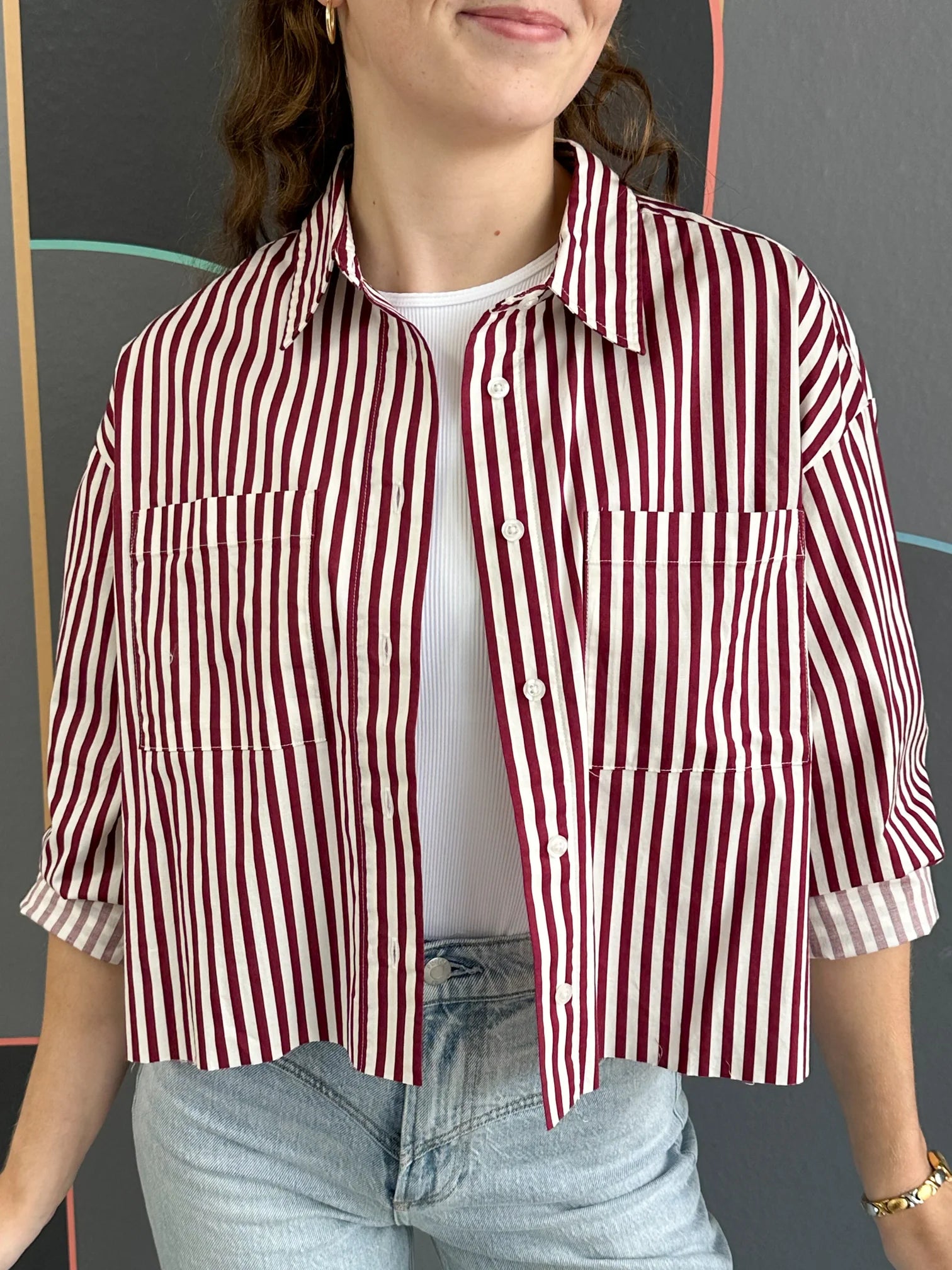 Academy Button Down - Malbec StripeWhite goose down